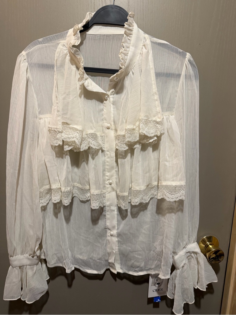 Cider Cream Ruffled Lace-Trim Sheer Blouse